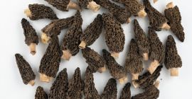 Colmenillas secas orgánicas - Paquete de 100 g -