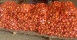 Venta de cebollas amarillas directamente del fabricante. Variedad Derek.