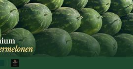 Somos exportadores experimentados de sandías frescas de Marruecos y