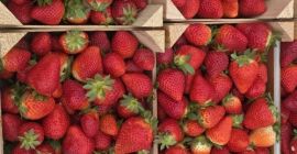 El tiempo de espera para recibir el producto es