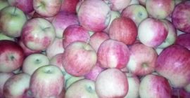 Venderé a Pirosa unas 12 ti Paulareda unas 4