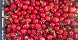 En FIA GOGOT FRUIT encontrará las frutas de temporada