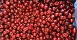 Vendo cerezas congeladas sin hueso, Clase I, 1/10 y