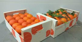 Venderé naranjas extra-clase, el país de origen de Portugal,