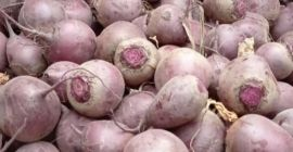 Vendo remolachas jóvenes cortadas y hojas de remolacha (cuatro