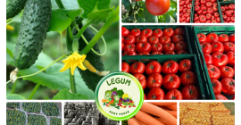 RGI DAR FRESH SRL es una empresa rumana establecida