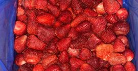 Ezar Frozen Foods Europe (una sucursal del fabricante Ezar