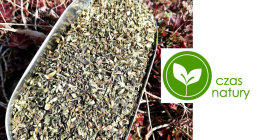 Scutellaria baicalensis hoja de tálamo 100% hoja Vender hoja