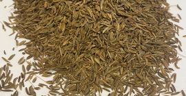 Semillas de comino. 99,9% de pureza, color marrón. Envase