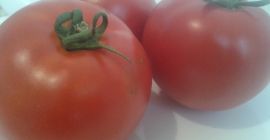 Venderé tomates de campo: redondos y oblongos, el precio