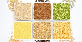 PRODUCCIÓN PROPIA – KAMPOL RUSIEC Ofrecemos granos de alta