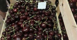 Hola, actualmente tenemos 50 toneladas de cerezas dulces frescas