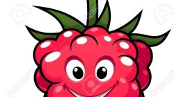 Recomiendo la frambuesa certificada por 7 años. Glade y