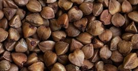 Nuestro trigo sarraceno proviene de una granja donde garantizamos