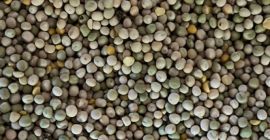 Venderé guisantes en grandes cantidades.