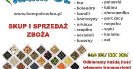 La compañía Kampol comprará cualquier cantidad: comino, mijo, guisantes,