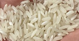 Arroz blanco de grano largo con un 5% de