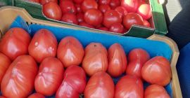 Vendo verduras frescas y sabrosas: tomates, pepinos, calabacines.