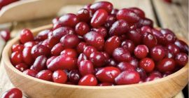 Les invito a adquirir bayas de cornejo. Este fruto