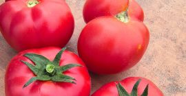 Hola, tengo una gran cantidad de tomates redondos y