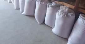 Hola, tengo avena de la cosecha de este año