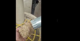 Estoy comprando lima de grano único. Cantidad aproximada de