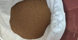Ofrecemos semillas de alfalfa griega de alta calidad directamente