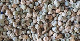 Tengo a la venta unas 12 toneladas de guisantes