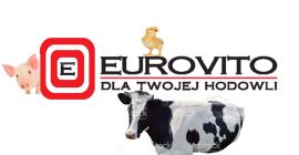 Eurovito comprará cantidades de maíz de camión completo. Llevamos