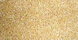 Ofrecemos granos y legumbres (guisantes amarillos/verdes, frijoles, mijo, mostaza