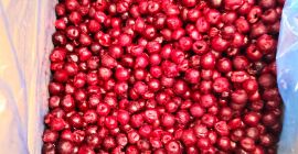 Cerezas ácidas deshuesadas ultracongeladas, envase de cartón de 10