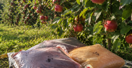 Zumos prensados 5L Sabores disponibles: Manzana 5l 16 PLN