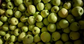 Vendo diferentes variedades de manzanas. Actualmente, vendo principalmente las