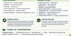 Represento a la empresa agrotécnica ucraniana Galician Herbs. Nos