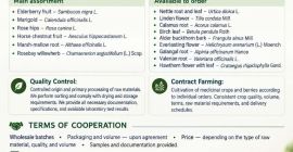 Represento a la empresa agrotécnica ucraniana Galician Herbs. Nos