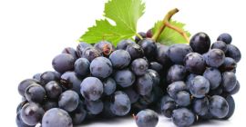 Vendo uvas para vino (sin despalillar, incluido en el