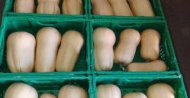 Hola. Tengo una calabaza butternut en venta. Para más