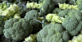 Brócoli en venta. Entregas regulares, proveedor estable.