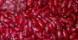 Hola, vendo frijoles rojos, cosecha 2026. No necesitan secarse
