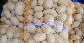 Venderé patatas de la variedad Melody, envasadas en sacos