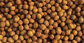 Vendo nueces búlgaras de Chandlar, sin calibrar, con cáscara,