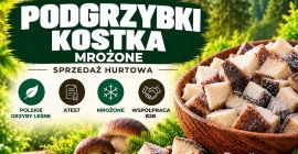 CUBOS DE BOLETO CONGELADOS. SETAS FORESTALES POLACAS CERTIFICADAS DE