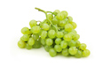 Uvas de vinificación ecológicas de las variedades Cagnina, Albana,